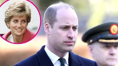 Prince William thinks his mother Diana's pain is sold?