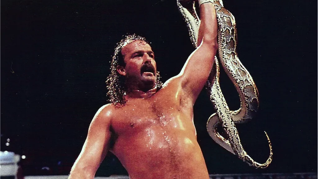 Jake "the snake man" Roberts in the WWF 