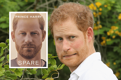 Prince Harry faces backlash for sharing private information about royal houses