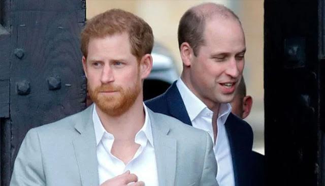 Prince Harry and William criticized for their relationship