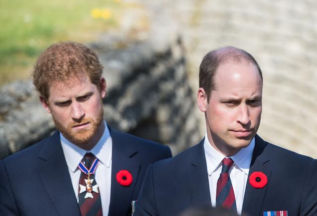 Prince Harry's controversial words reveal strained relationship with Brother William